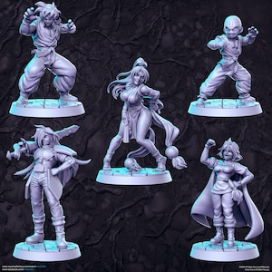 Anime Series Vol 4 Full Set DnD Miniature, Tabletop RPG DnD Mini, D&D Figurines, Fantasy Gaming and Pathfinder, RN Estudio