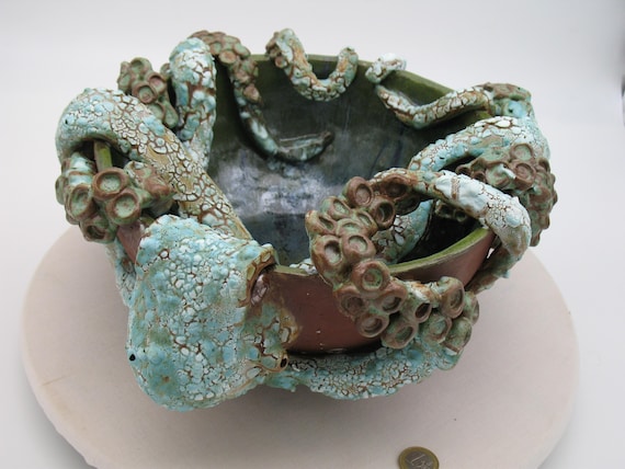 Große Oktopusschale