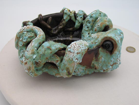 Octopus shell, small