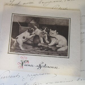 ¡Bonjour! Dulce Vintage Francés Handwritten Card /Cats and Dogs/Sentimental French Note/Frame as Art/Momento/French Market Find