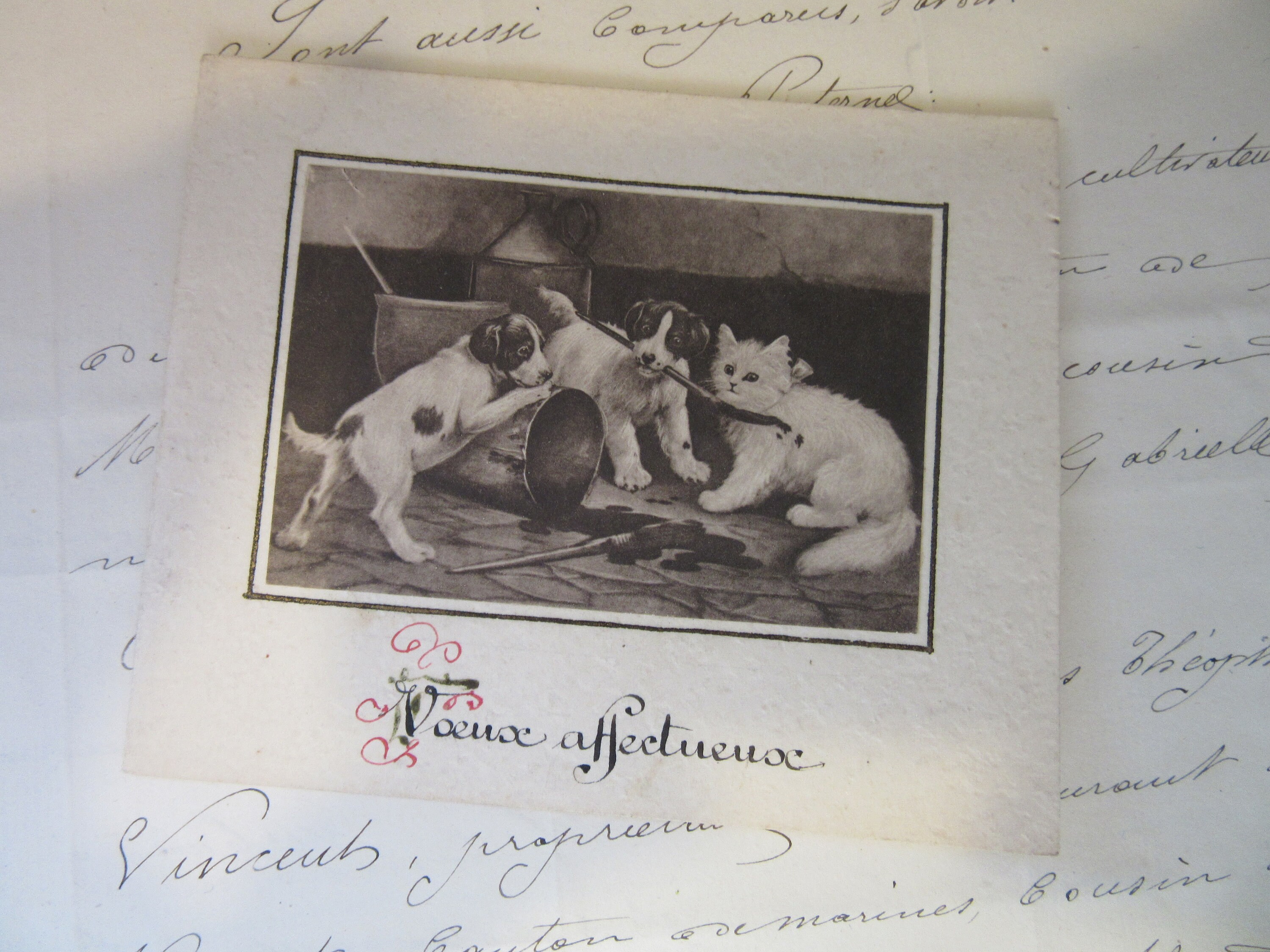 Bonjour, bonjour Sweet vintage Français Handwritten Card/Cats and Dogs