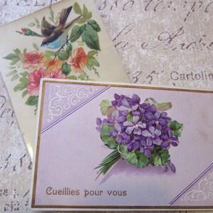 Cartão postal floral francês/vintage francês com flores cromadas coloridas/violetas de pássaros/memorabilia/cartão postal muito antigo e intacto/moldura como arte