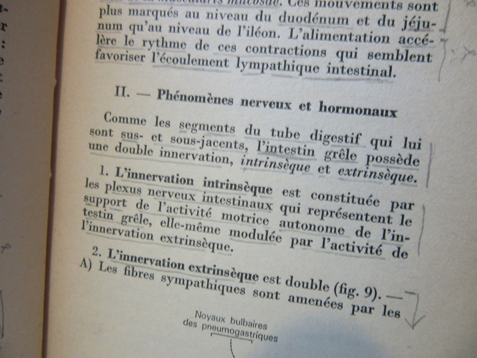 Old Vintage French Language Literature Book About Etsy