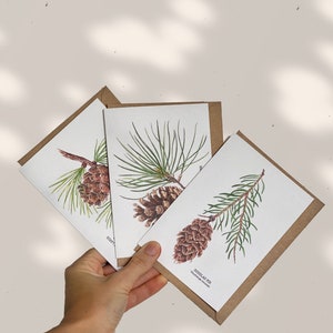DENNENappels wenskaarten. Handgemaakt, 100% milieuvriendelijk en luxe briefpapier.