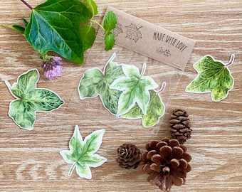 Ivy Leaves Stickers: Waterproof Botanical Decals - Set of 3