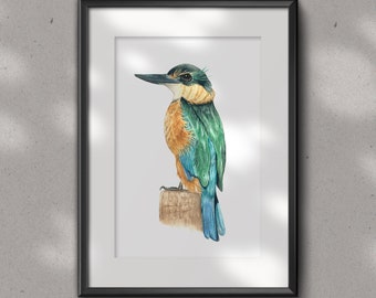 KINGFISHER Fine art GLICEE PRINT - bird art print -  Ornithology- watercolour art print - wall décor - New Zealand Kingfisher