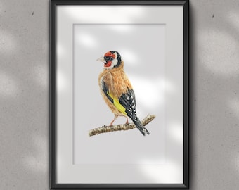 EUROPEAN GOLDFINCH Fine art PRINT - watercolour painting - European garden birds collection - watercolor