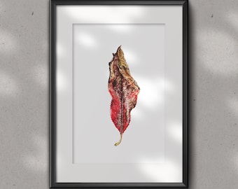 HINAU Fine art GLICEE PRINT - floral art print -  autumn leaf - watercolour art print - wall décor