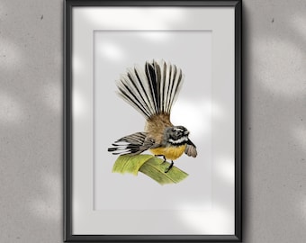 FANTAIL/PIWAKAWAKA Fine art glicee PRINT - bird art print -  Ornithology- watercolour art print - New Zealand Fantail - native bird