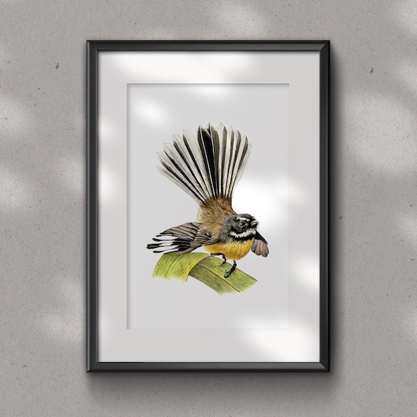 FANTAIL/PIWAKAWAKA Fine art glicee PRINT - bird art print -  Ornithology- watercolour art print - New Zealand Fantail - native bird