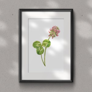 PINK CLOVER Fine Art Glicee PRINT - floral art print -  watercolour art print - wall décor - wild flowers