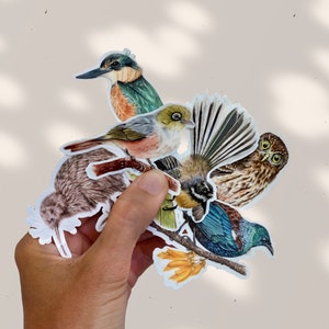 Adesivos de vinil PÁSSAROS DA NOVA ZELÂNDIA - Pacote de adesivos da natureza - adesivos para laptop - adesivos de decoração - Adesivos à prova d'água - Adesivos de ornitologia
