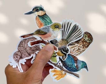 NEW ZEALAND BIRDS vinyl stickers - Nature sticker pack - laptop stickers - decor stickers - Waterproof stickers- Ornithology stickers