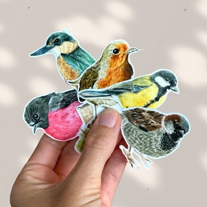 Adesivos de vinil PÁSSAROS - Pacote de adesivos da natureza - adesivos para laptop - adesivos de decoração - Adesivos à prova d'água - Adesivos de ornitologia