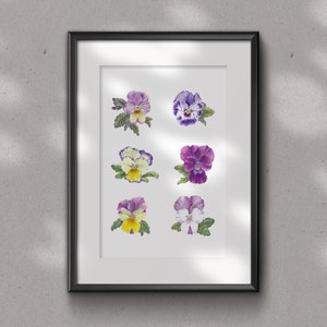 Pansies Watercolor Art Print: Floral Wall Decor