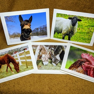 Na Fazenda #1 - Cartões comemorativos com fotos