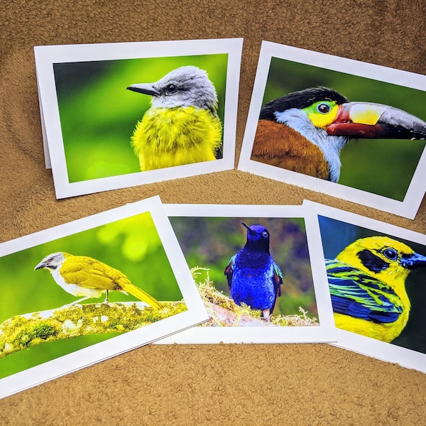 Birds of Ecuador - Photo greeting cards