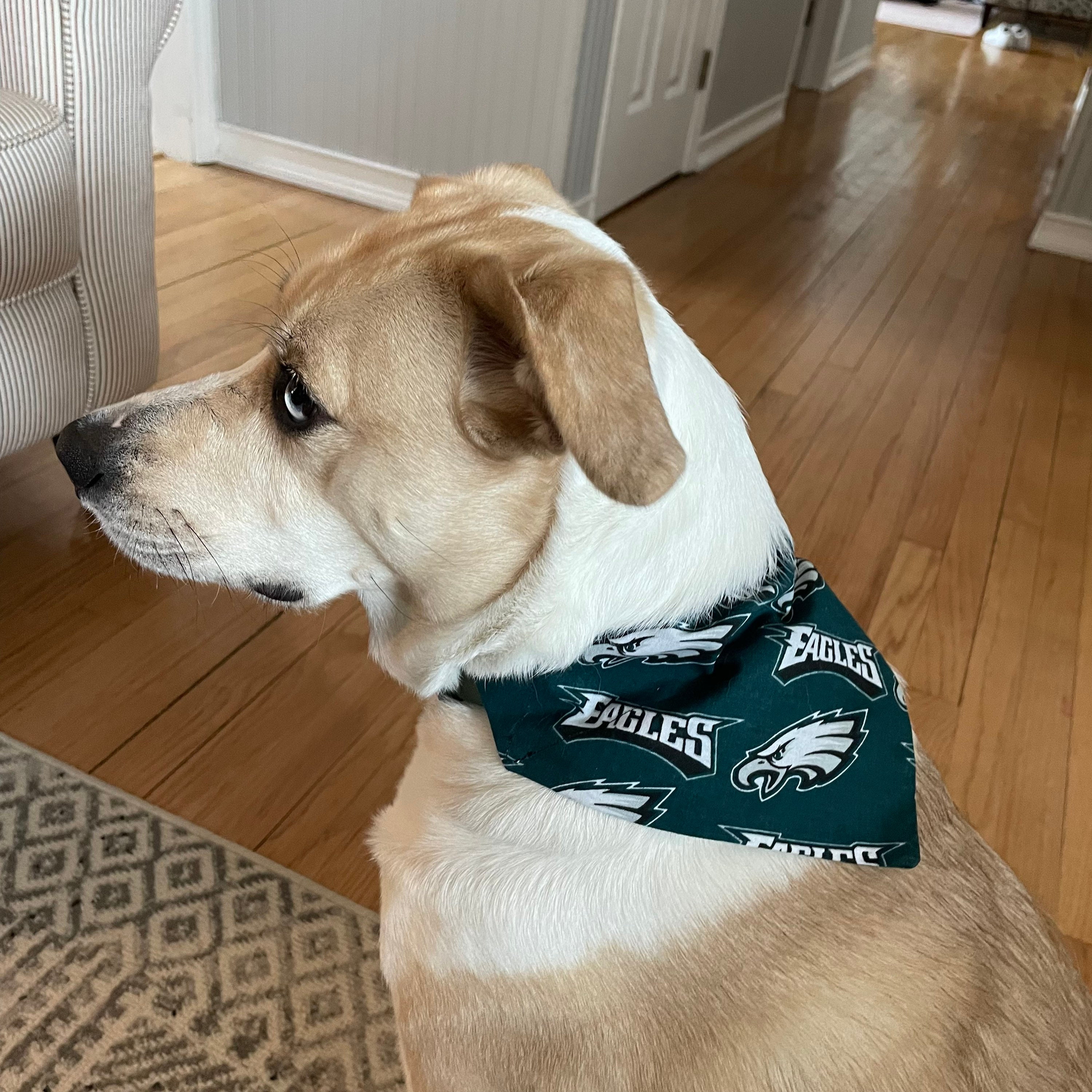 Philadelphia Eagles Dog Bandana 