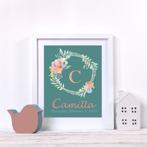 Personalizado bebé niña nacimiento estadísticas cartel - imagen digital