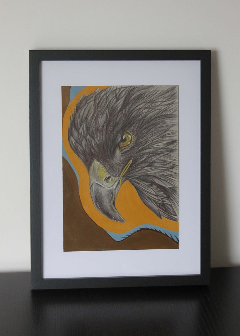 Buizerd Originele Tekening Maat A4 Unframed Etsy