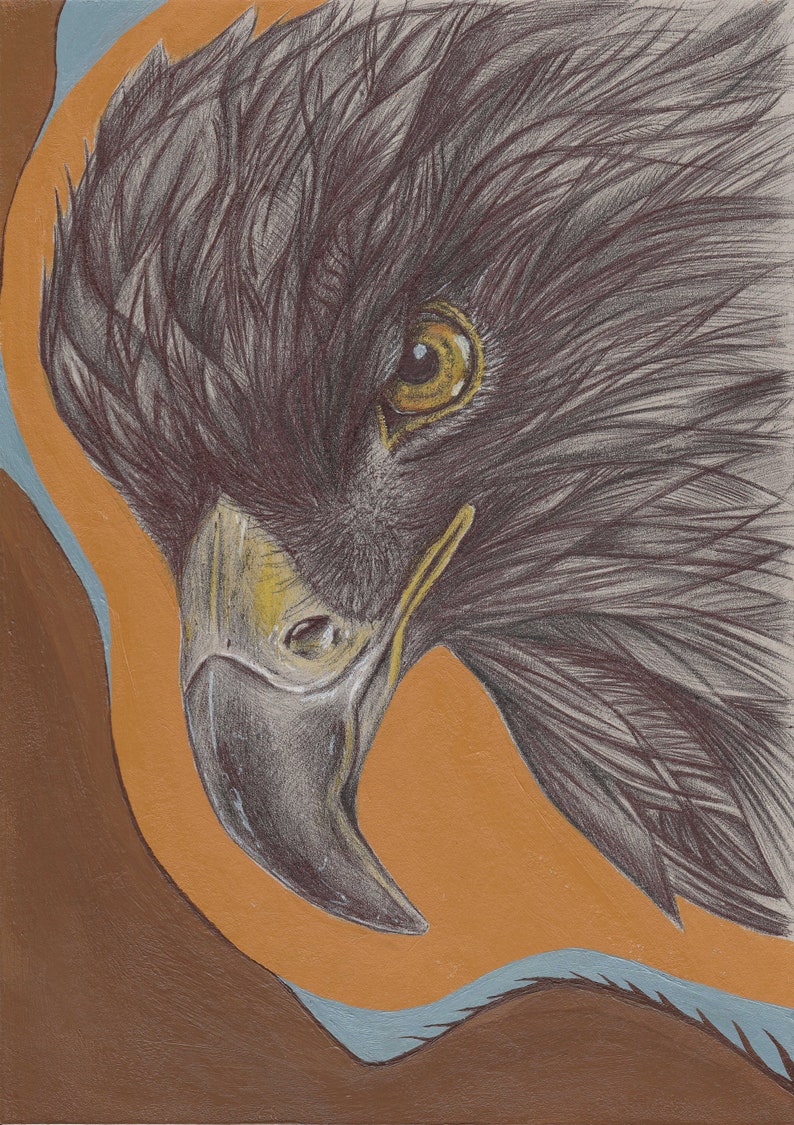 Buizerd Originele Tekening Maat A4 Unframed Etsy