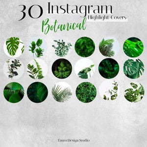 30 Green Botanical Themed Instagram Highlight Covers | Social Media Icons | Highlight Covers