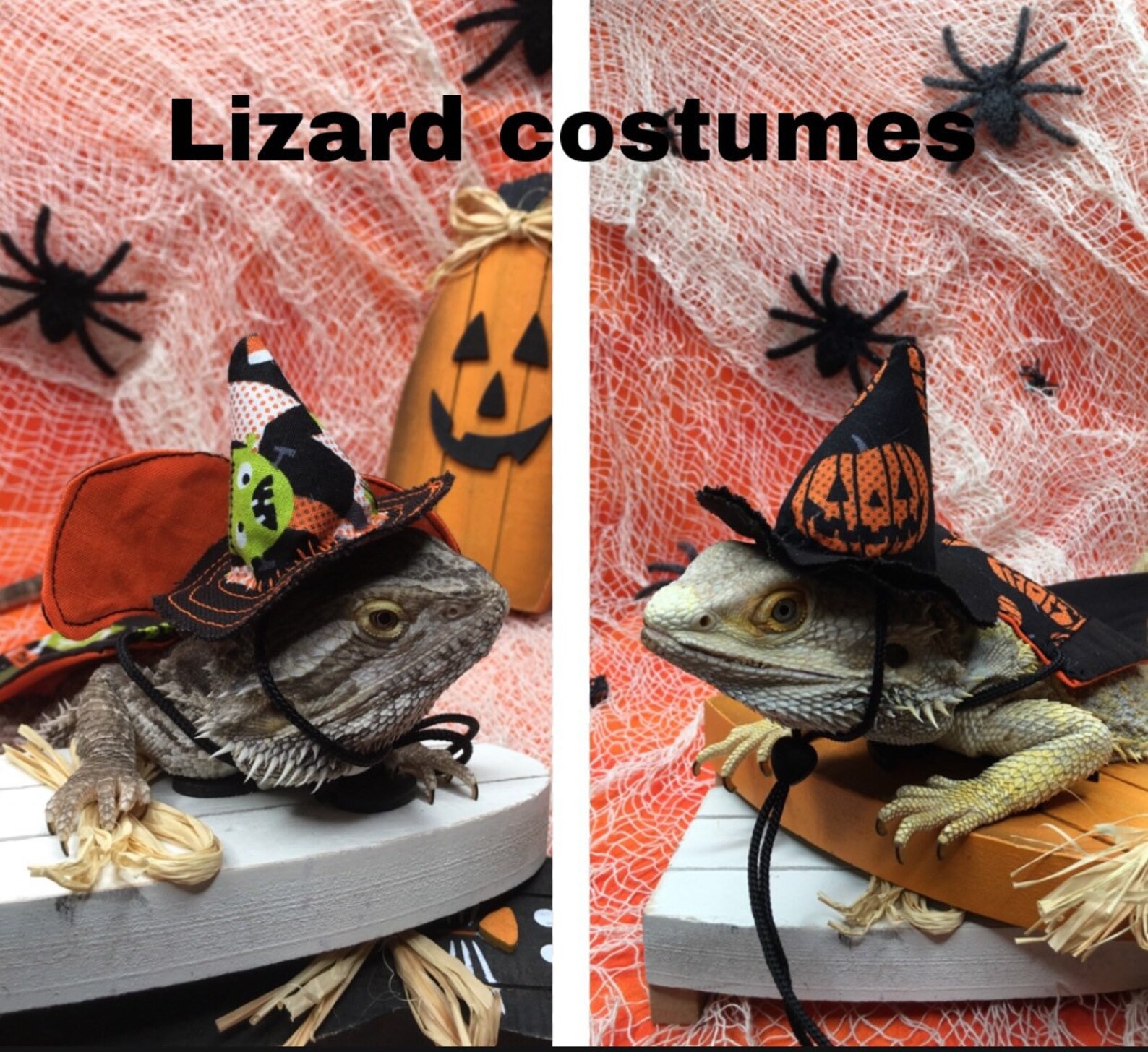 Bearded dragon costumes Halloween costumes for lizards With Etsy