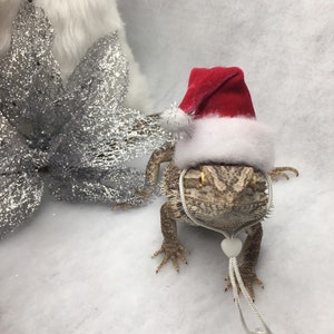 Peut inclure: Un dragon barbu brun portant un chapeau de Père Noël rouge avec une bordure blanche et un charme blanc en forme de cœur sur une ficelle blanche.