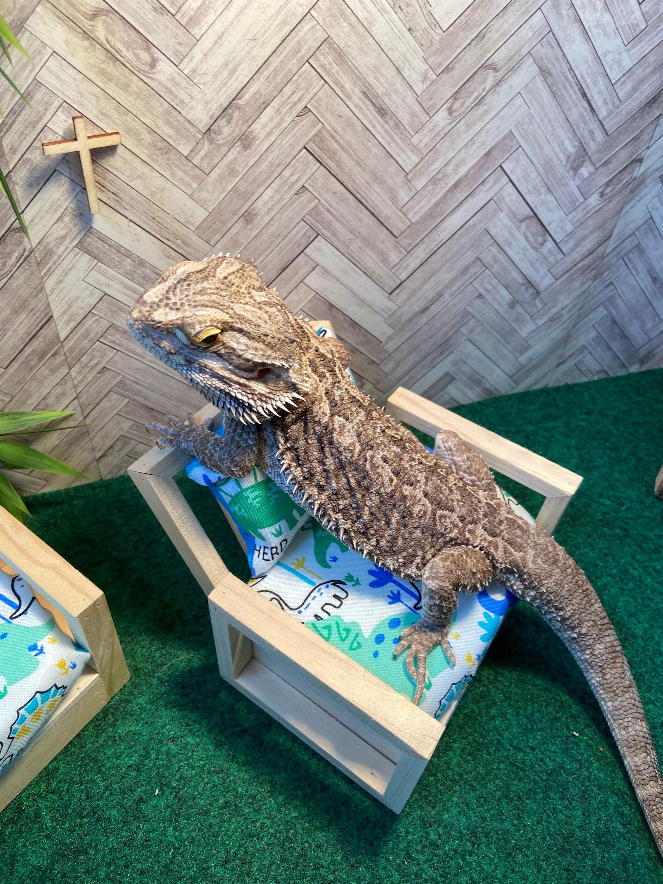 Reptile Furniture Super durable reptile safe red oak wood Etsy