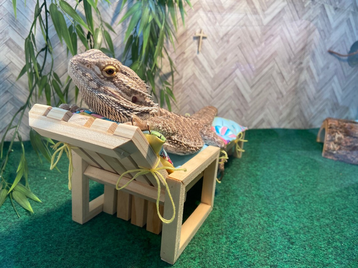 Reptile furniture The Reptile Relaxer Super durable Reptile Etsy