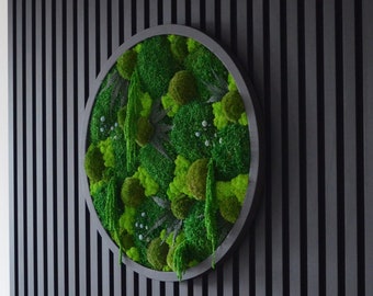 May include: A circular wall decoration with a black frame and a green moss design. The decor is mounted on a black slatted wall.
