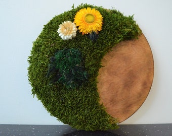 Rond Moskunstwerk, mosdecoratie, groene muur