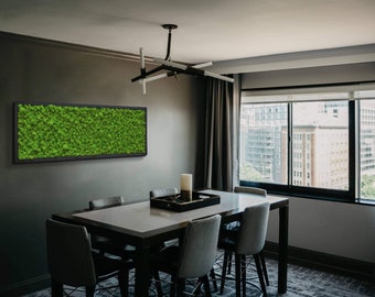 Mos kunst, Mos frame, Moss Wall, 120x40, Moss Wall Art, Real Moss, Nature Room Decor, Chartreuse groen, Art Modern wall EU
