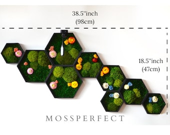 Hexagon: Serie Lente Honingraat Paascadeau Idee Kunst Moskunst Ontwerp Natuur Groen Ontwerp Levende Kunst Verlichte Moskunst Ecovriendelijke Kunst
