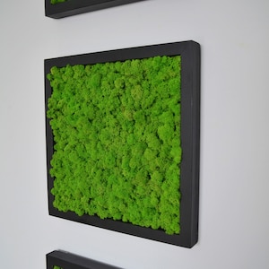 Set Of 3 Moss Frames, Moss Wall, 3x40x40, Moss Wall Art, Real Moss, Nature Room Decor, Chartreuse green, Art Modern wall