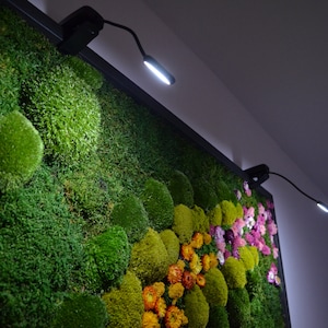Wall Art.Nature Room Decor. Modern wall art Real Moss. Moss frame. Chartreuse green Moss Wall .Botanical Art. image 4