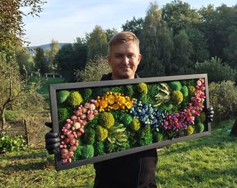 Summer Edition Premium | Moss Wall Art