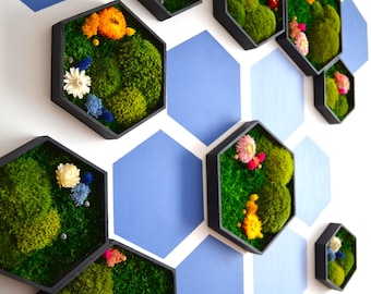 Set of 9 hexagons with mounting tapes. Easy assembly Hexagons Honeycomb Art Moss Art Design Nature Green Design Living Art Moss wall