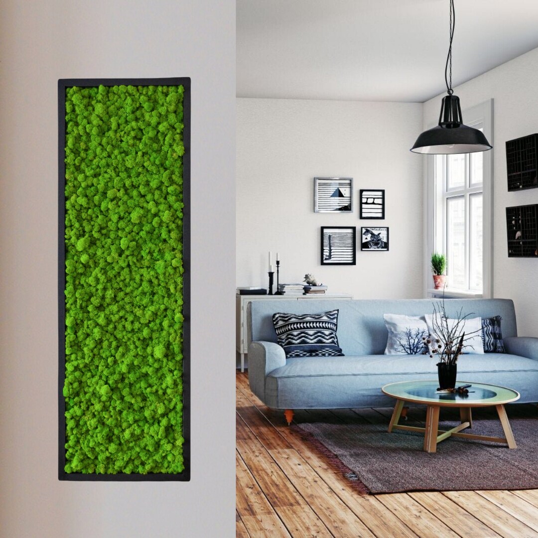 Wall Art.nature Room Decor. Modern Wall Art Real Moss. Moss Frame. Chartreuse Green Moss Wall