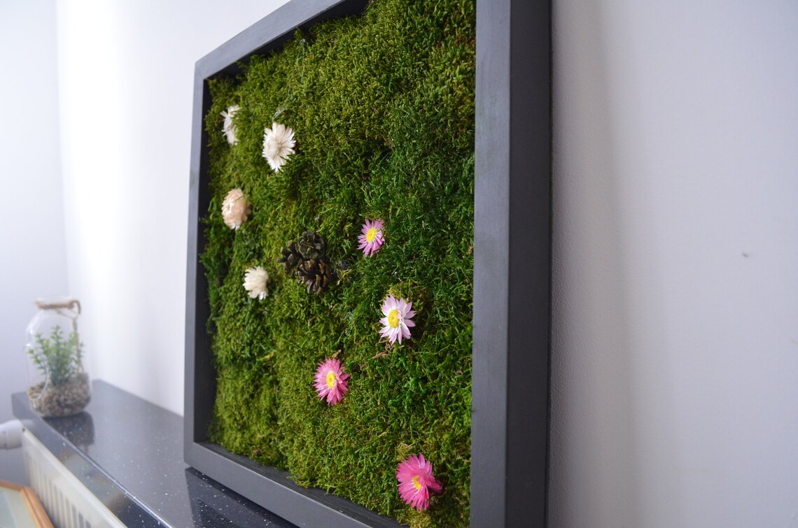 Moss Frames Moss Wall 40x40 Moss Wall Art Real Moss - Etsy