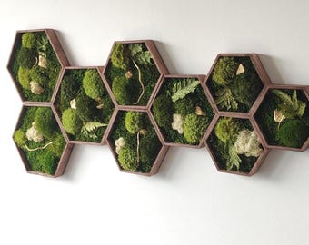 NEW! Hexagon Moss Wall Art | Honeycomb Moss Art | Preserved Moss Panels | Green Wall Decor with Gold Accents | Modern Modular Botanical Art