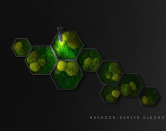 Hexagon : Series Elegant Honeycomb Art Moss Art Design Nature Green Design Living Art Illuminated MossArt EcoFriendlyArt