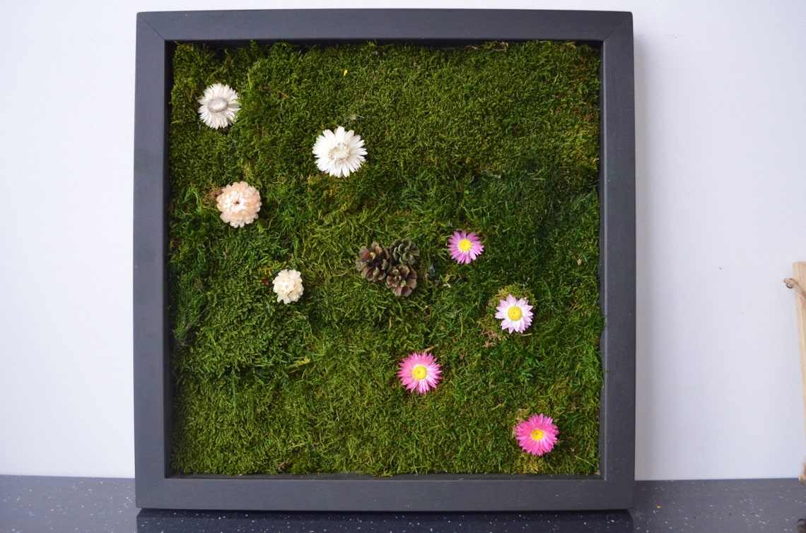 Moss Frames Moss Wall 40x40 Moss Wall Art Real Moss - Etsy