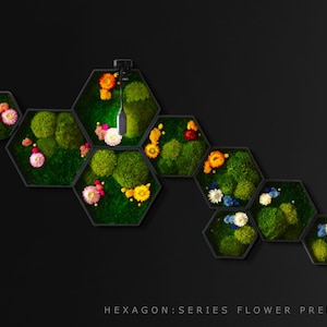 Könnte beinhalten: Ein sechseckiges Wandkunstwerk mit einer Reihe von mit grünem Moos bedeckten Sechsecken mit bunten Blumen. Das Stück trägt den Titel "HEXAGON:SERIES FLOWER PREMIUM".