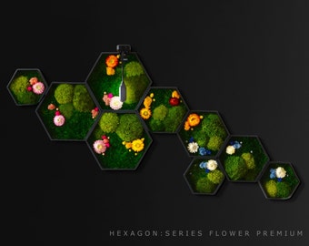 Hexagons Honeycomb Art Moss Art Design Nature Green Design Living Art Illuminated MossArt EcoFriendlyArt