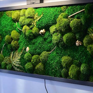 Gold Edition Wall decoration with moss Preserved Moss art. Maintenance free plant decoration