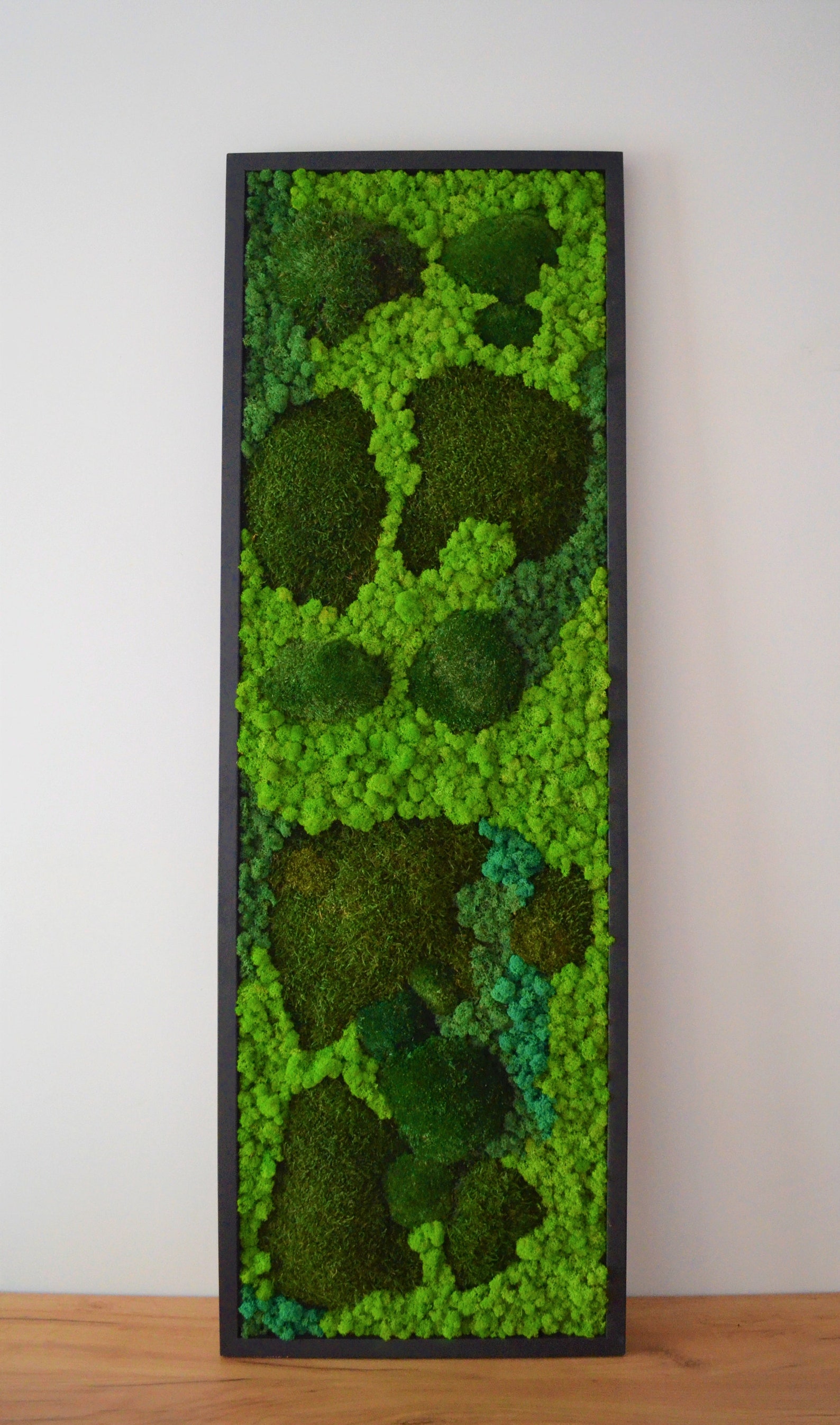 Wall Art.nature Room Decor. Modern Wall Art. Real Moss. Moss Etsy