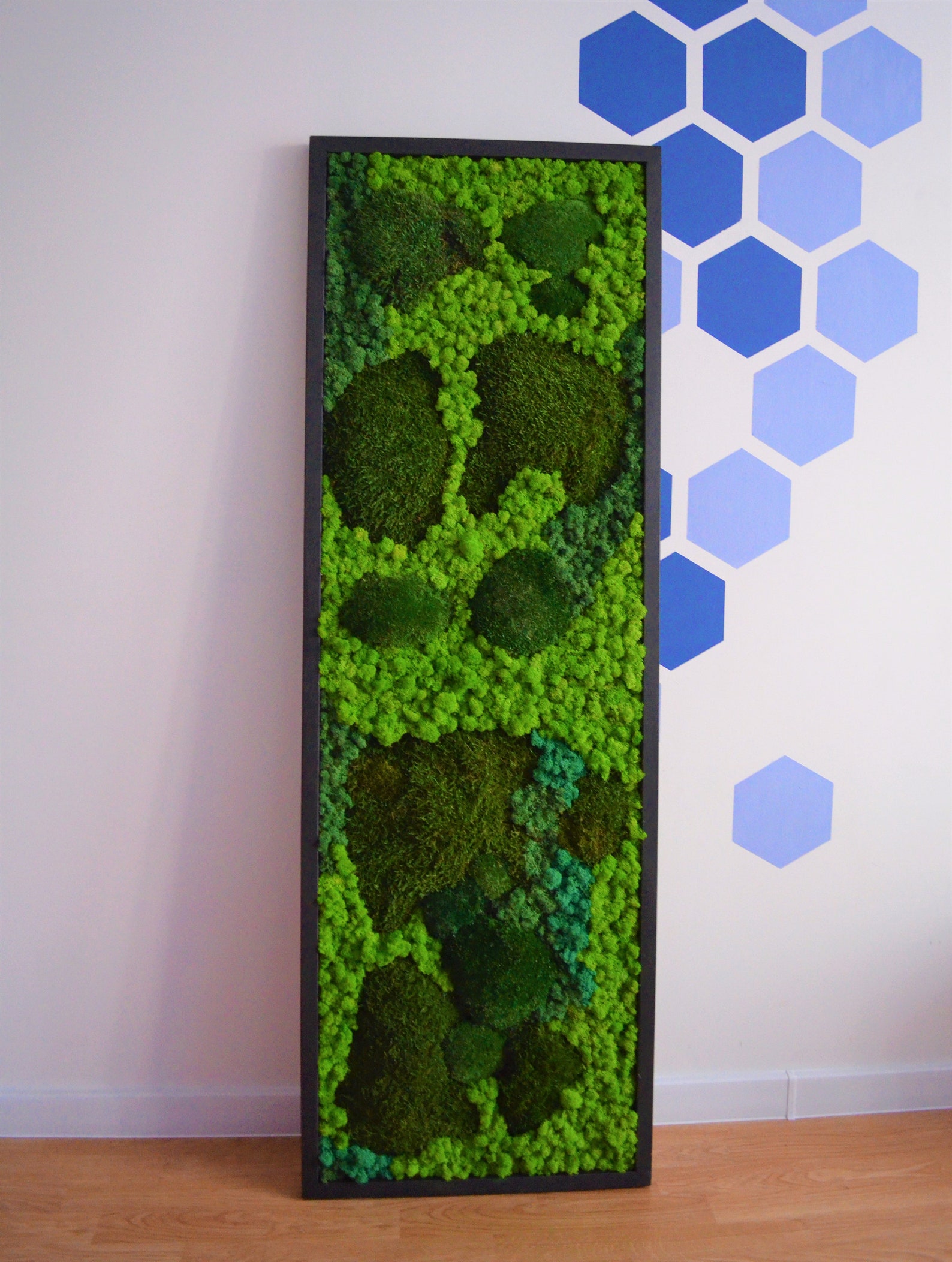 Wall Art.nature Room Decor. Modern Wall Art. Real Moss. Moss Etsy
