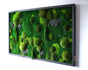 New: TERRA X MOSS ART -Preserved Moss art, (Without lamp)Maintenance-free plant decoration, Moss wall decoration