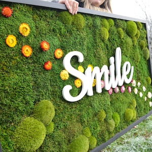 SMILE Moss art + led Modern wall art. Real Moss. Moss frame. Chartreuse green Moss Wall .Botanical Art.